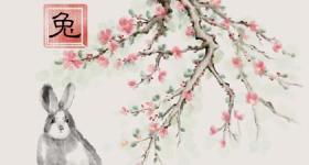 生肖兔最适合配什么生肖 不同月份属兔的人属相婚配表