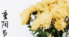 重阳节精美文案大全201句