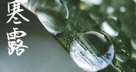 寒露朋友圈早安问候语 寒露发朋友圈的文案