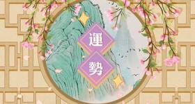 车牌88好还是68 最吉利车牌号100分