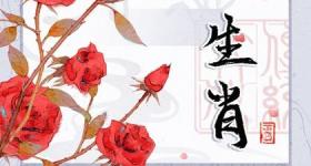 2023真爱即将出现生肖鼠与牛忠诚与坚实的搭配