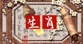 老虎最好配什么生肖 和属兔的人最配