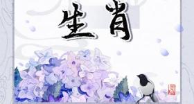 98年什么生肖配羊配兔 属虎的性格分析