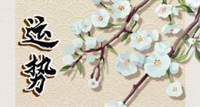 2024年出生的宝宝运气如何 生肖龙性格特点