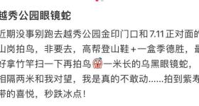 网友称广州越秀公园有眼镜蛇出没，工作人员：公园会定期抓蛇
