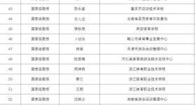 朱婷、汪顺、丁宁等，获评国家级教练职称