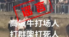 斗牛比赛现场冲突致人死亡?不实