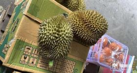 榴莲即将进入旺季 价格将明显回落