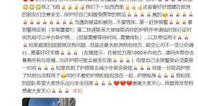 演员胡兵回应团队在国外被抢劫