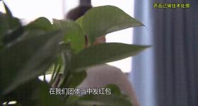 女子轻信游戏好友被骗百万:吃泡面背贷款想成为他的救命稻草