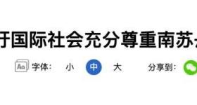安理会上“中方不得不投出弃权票”