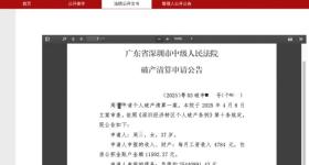女子月入4784元负债高达2544万元申请破产，法院回应
