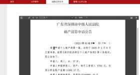 月收入4700元负债高达2544万元 37岁女子申请破产