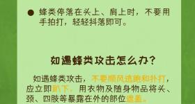 4岁女童在家中被蜜蜂蛰伤致死,爸爸哭诉距养蜂场只有1千米