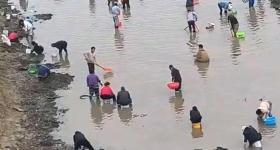 鹤壁有人下河摸金摸铜钱？当地回应