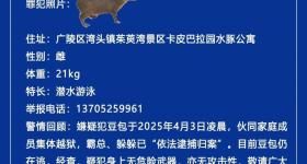 水豚出逃40天至今未归，江苏扬州一动物园发悬赏公告