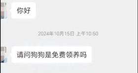 超市疑借领养名义烹食流浪狗，当地市监局回应