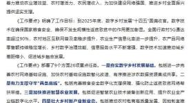 中央网信办等四部门印发《2025年数字乡村发展工作要点》