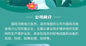 专科以上！国网河南电力各供电服务公司最新招聘公告