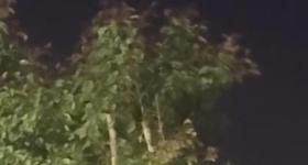 新疆多地现不明飞行物，目击者称和月亮一样亮，气象部门回应