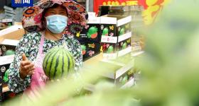 拍拍西瓜就能月入过万？这一新兴职业，火了→