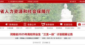 洛阳招216人！期满入编！