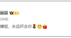 赵丽颖、黄晓明、马伊琍等发文悼念朱媛媛