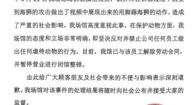 锦艺城海洋馆：关于员工被传虐待动物的声明