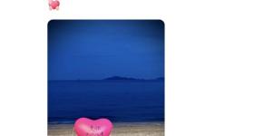 林峯妻子张馨月回应“晒网图P掉商家logo被说小家子气”