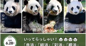 6月28日！日本将返还中国