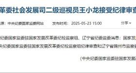 国家发展改革委社会发展司二级巡视员王小龙被查