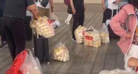 江苏游客买800个馒头带回家,河南老乡:冷冻保存吃时66
