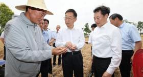 河南省委书记、省长，走进田间地头