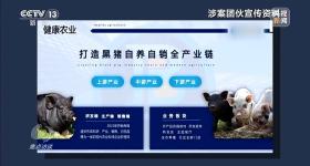 已有数万人被骗 起底“云养殖”里的骗局