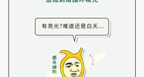 你还在开灯睡觉吗？这4点后果很危险！