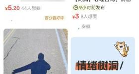 花几块钱找人陪聊？律师解读“网络树洞”法律风险