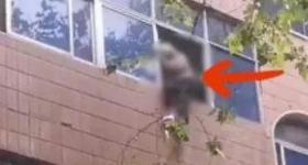 老人坠楼被众人接住 施救者发声：河南人真行