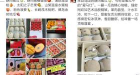 贴个标签身价飙升！你买的“进口水果”可能是国产的