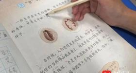 二年级男孩给语文课本挑错，人教社回信了！