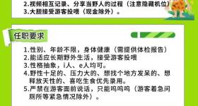 神农架景区招“野人”日薪五百