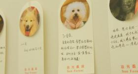每年数百万只宠物死亡，“身后事”怎么办？