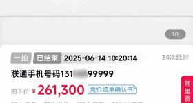 尾号99999手机号拍出26.13万元，溢价率超160%
