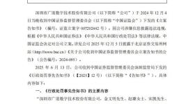 重大财务造假，顶格处罚！