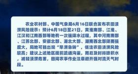 河南南部渍涝风险较高！两部门联合发布提示