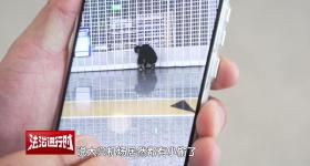 大兴机场，牛奶、饼干被盗！北京警方：已拘留