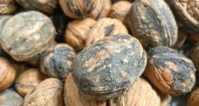 提醒！这7类食物，最好不要再吃了