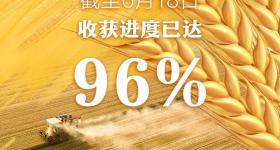 全国夏粮小麦大规模机收基本结束