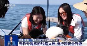 @爱宠人士 出行游玩全升级 快来开启“携宠出行”新体验