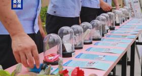 国家禁毒办发布2024年以来侦破毒品案件十大典型案例