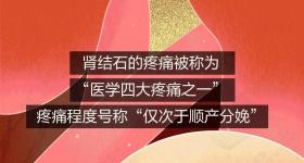你的肾是怎么一步步长出结石的？全过程曝光！